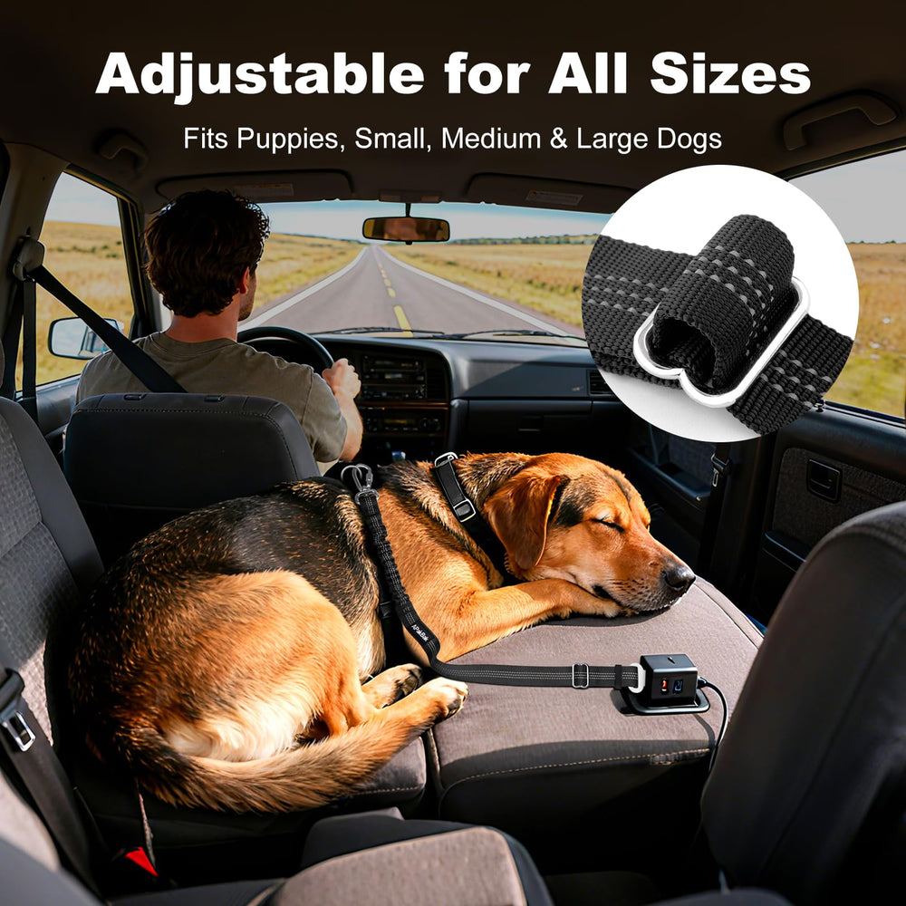 APAKBAK reflective strap keeps your dog visible during night drives