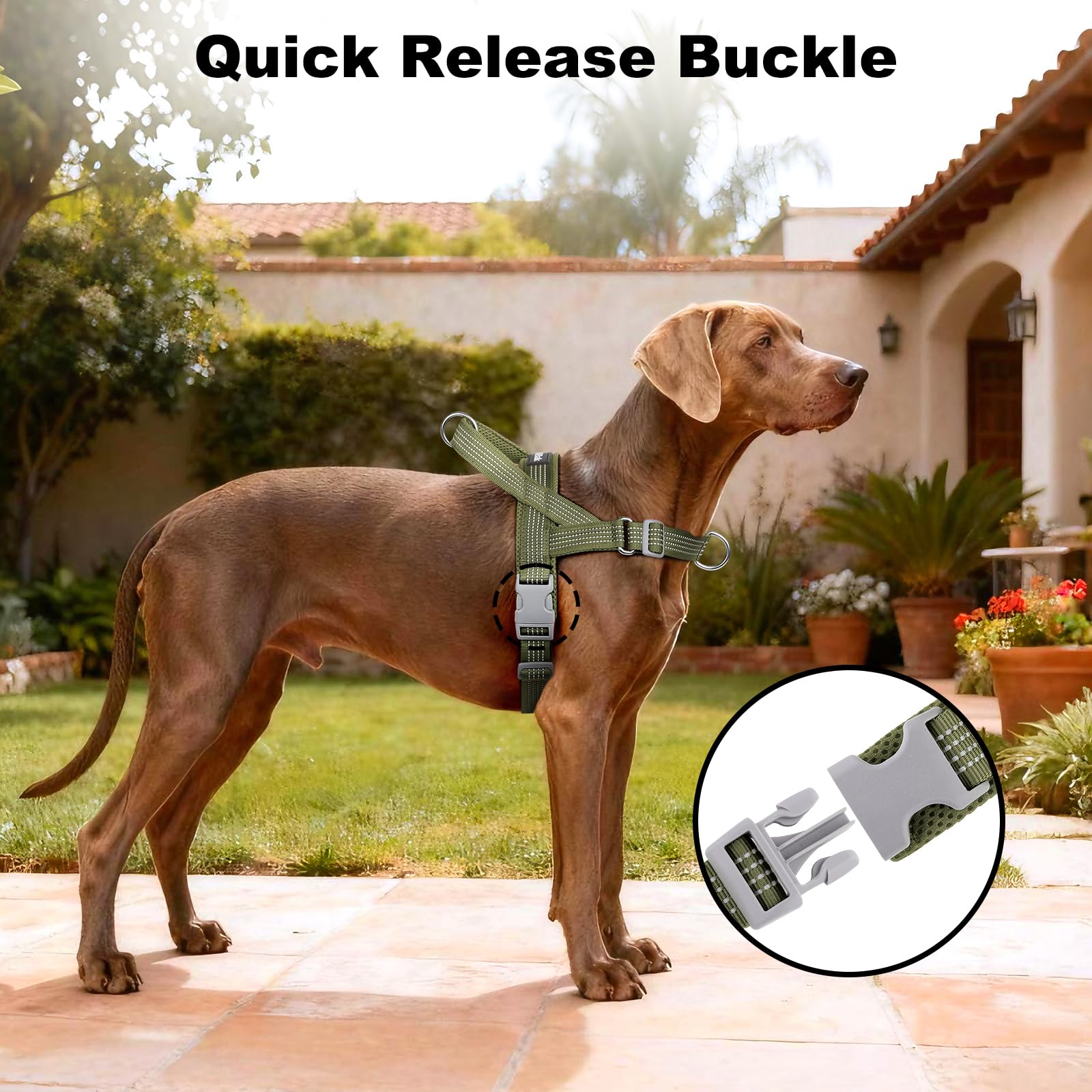 APakBak front clip promotes better leash manners during training sessions.