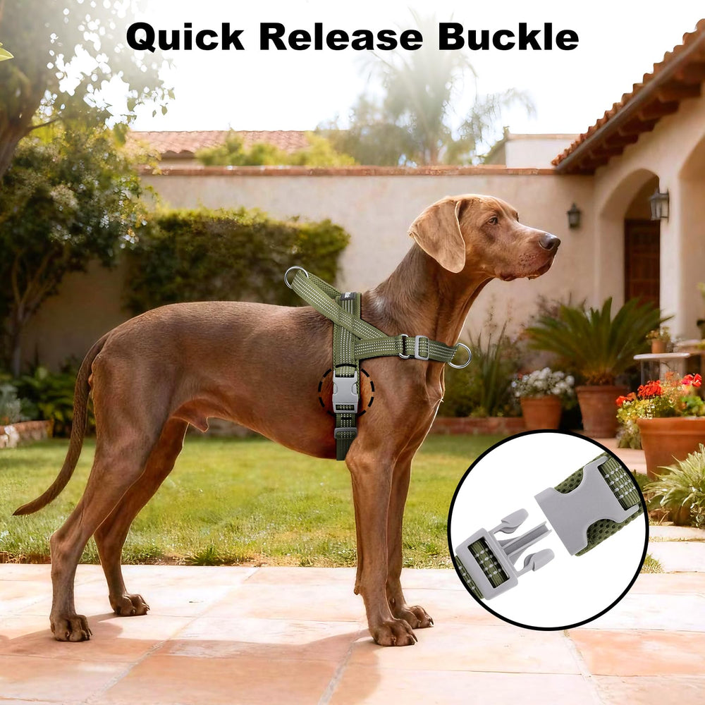 APakBak front clip promotes better leash manners during training sessions.