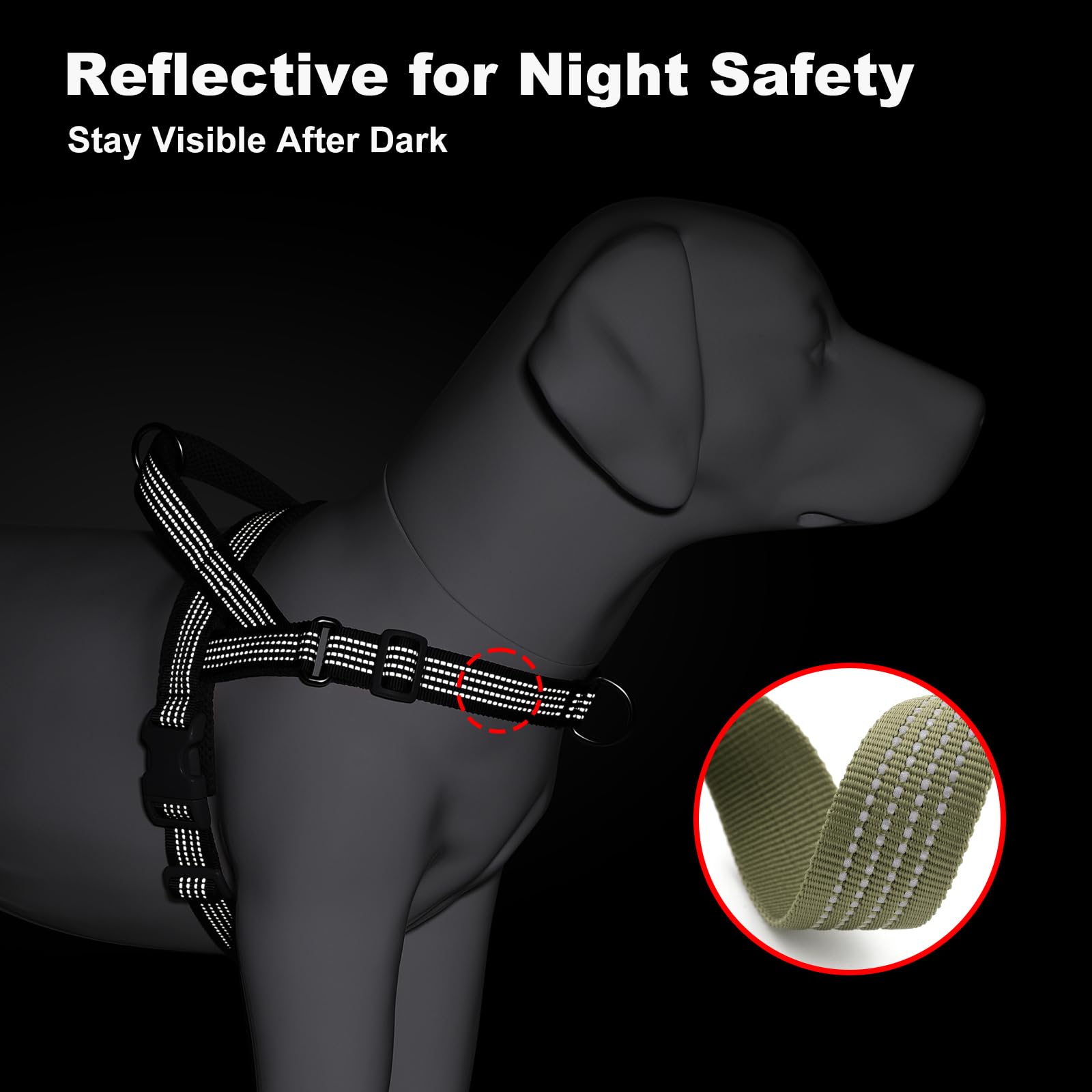 APakBak quick-fit buckles simplify fitting for quick, comfortable outings.