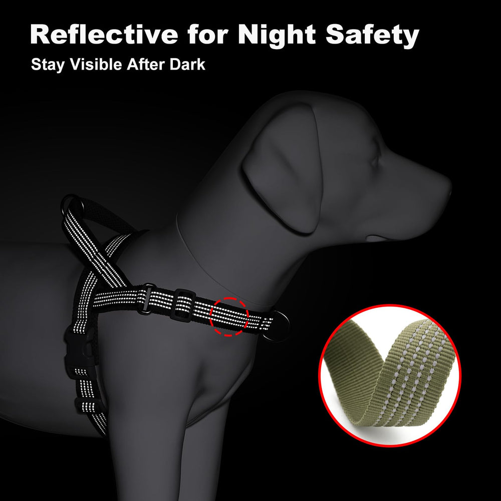 APakBak quick-fit buckles simplify fitting for quick, comfortable outings.