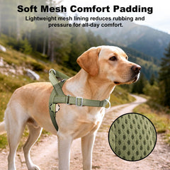 APakBak reflective nylon enhances nighttime visibility for safer evening strolls.