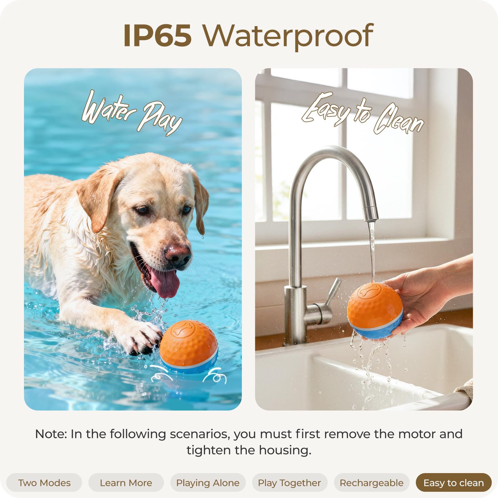 Apasiri 3.74-inch-diameter ball fits small to large breeds.