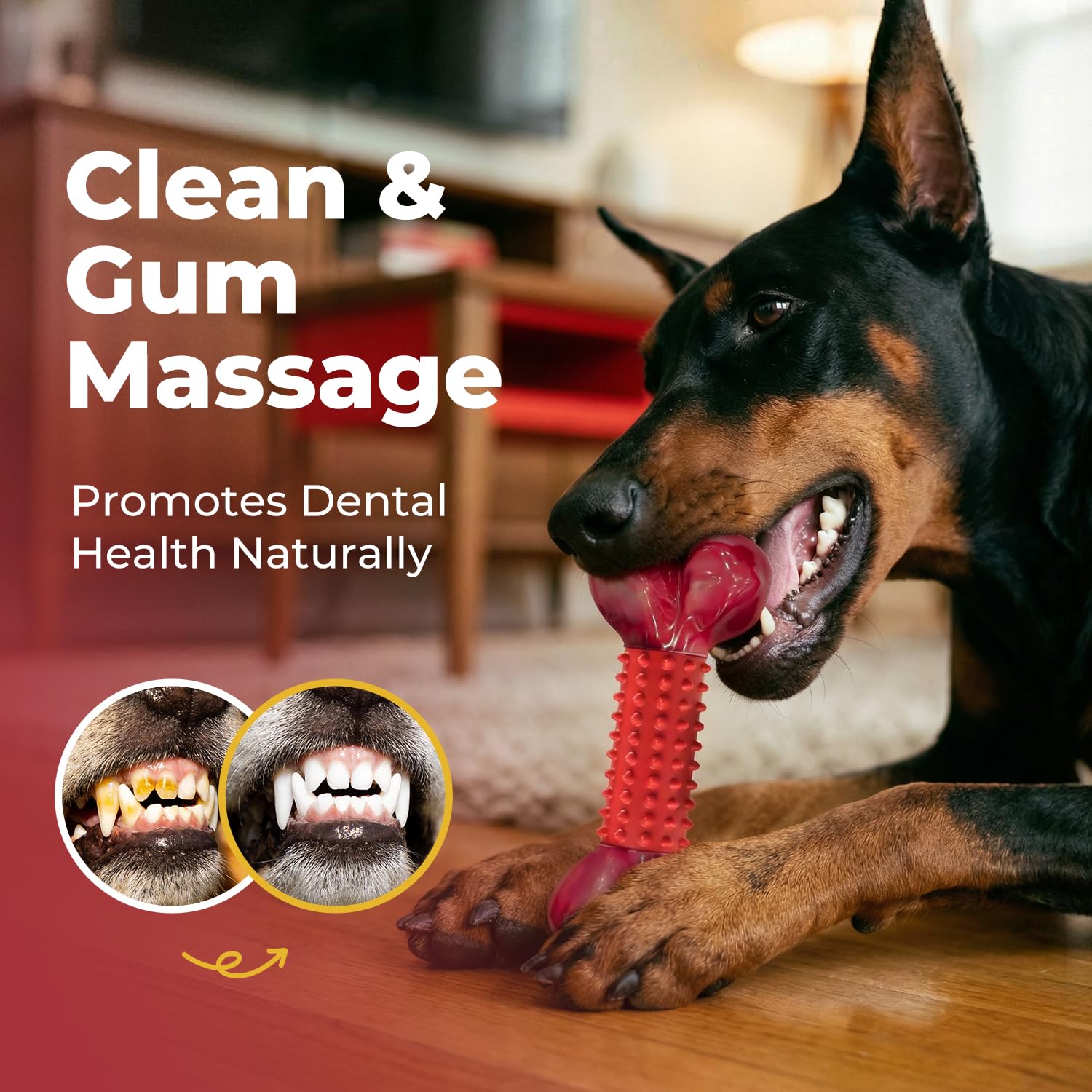 4-pack set keeps you prepared and reduces toy panic in multi-dog homes.
