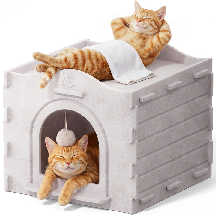 Apasiri cat bed cave front view shows a sturdy two-tier condo for calm indoor cats.