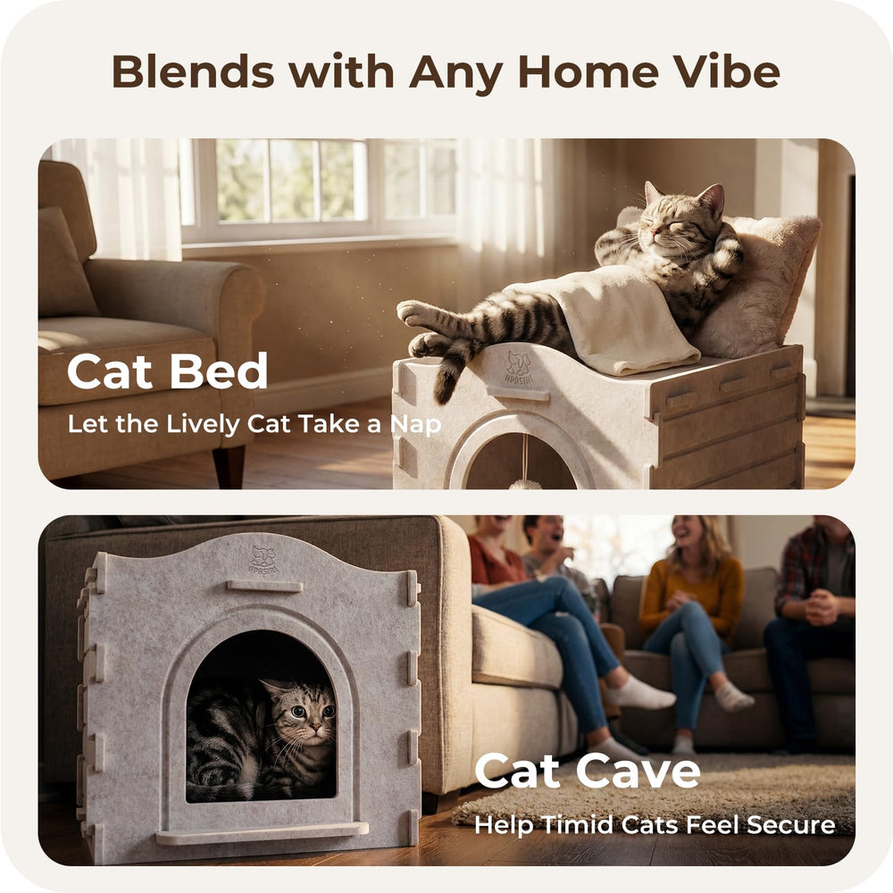 Apasiri cat bed cave upper bed in sunlight, perfect for warm sunny lounging.