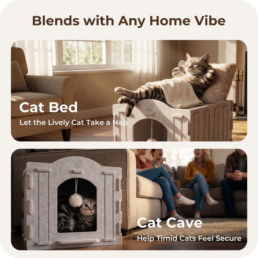 Apasiri cat bed cave upper open bed offers sun-soaked perch for naps