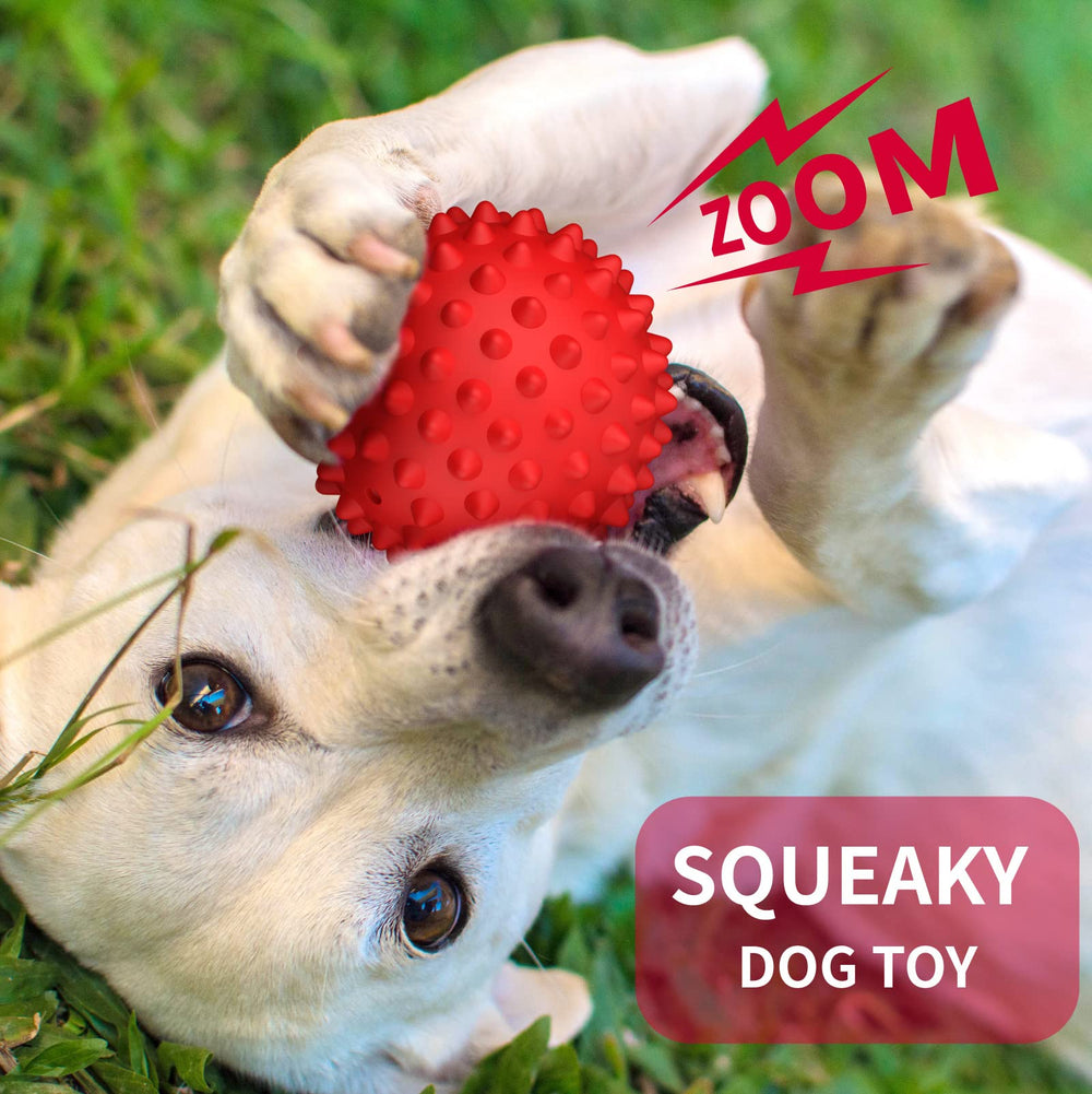 Apasiri dog ball designed for aggressive chewers, durable natural rubber for tough bites.