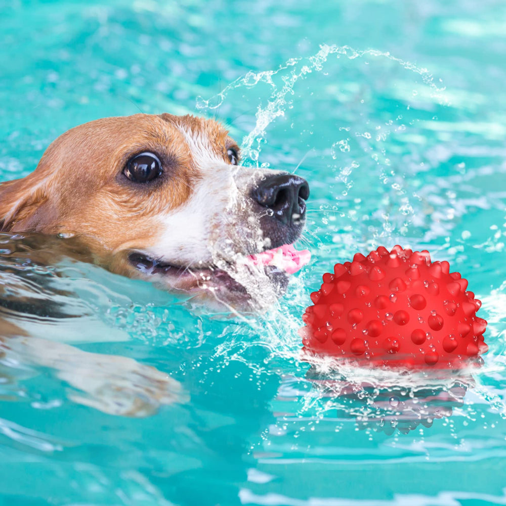 Beef flavored Apasiri dog ball enhances flavor driven play and chew sessions.