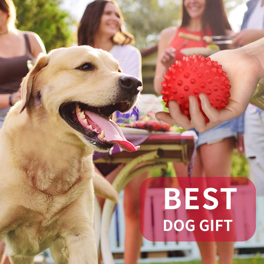 Pack of 2 Apasiri dog balls for extended playtime and interchangeable toys.