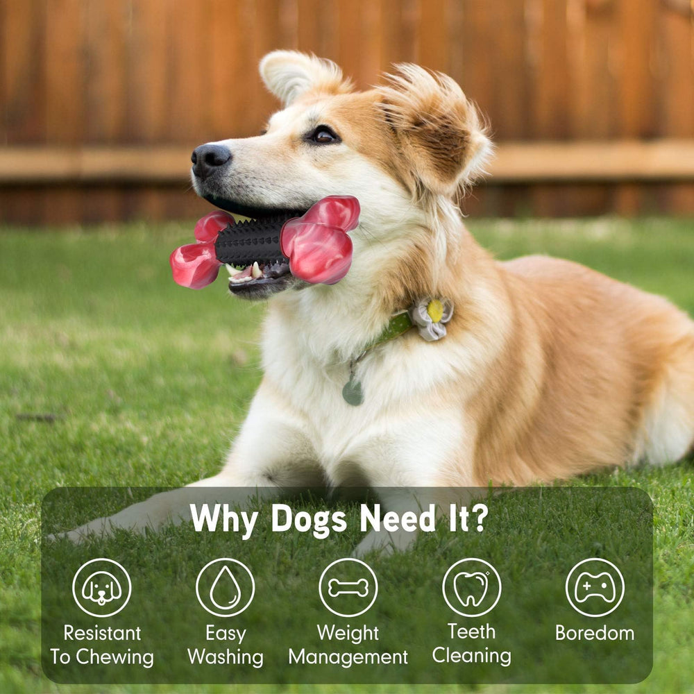 Apasiri easy-grip bone toy for solo play.