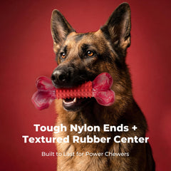 Apasiri nylon-rubber 2-in-1 chew toy improves grip for medium to large dogs.