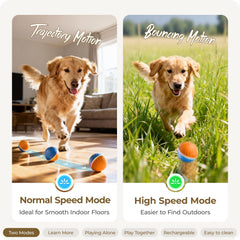 Apasiri two-modes motion for versatile indoor and outdoor dog play sessions.