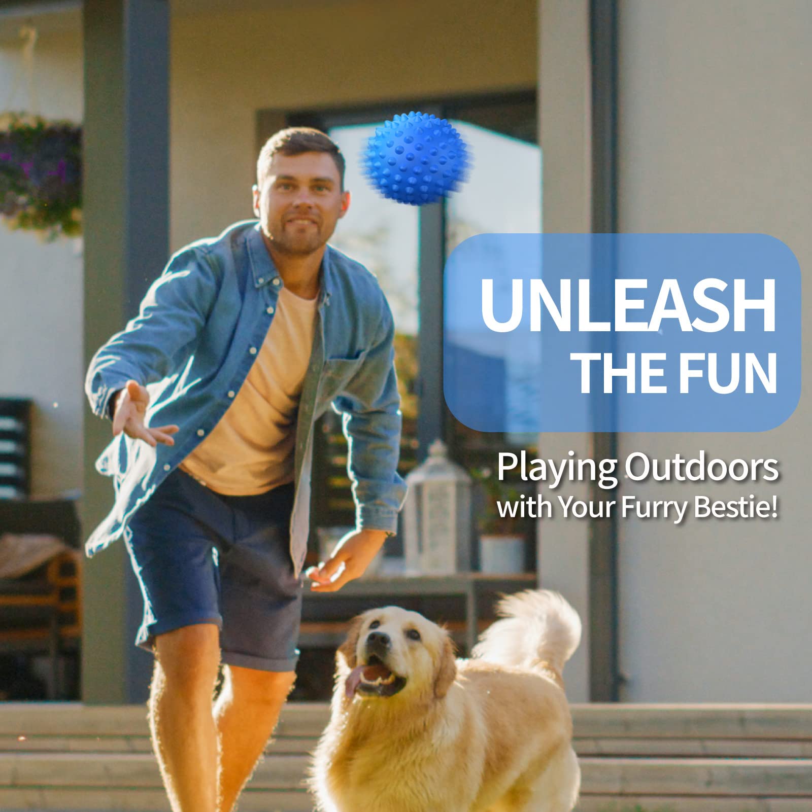 Apasiri versatile dog toy for yard, home, or park adventures.