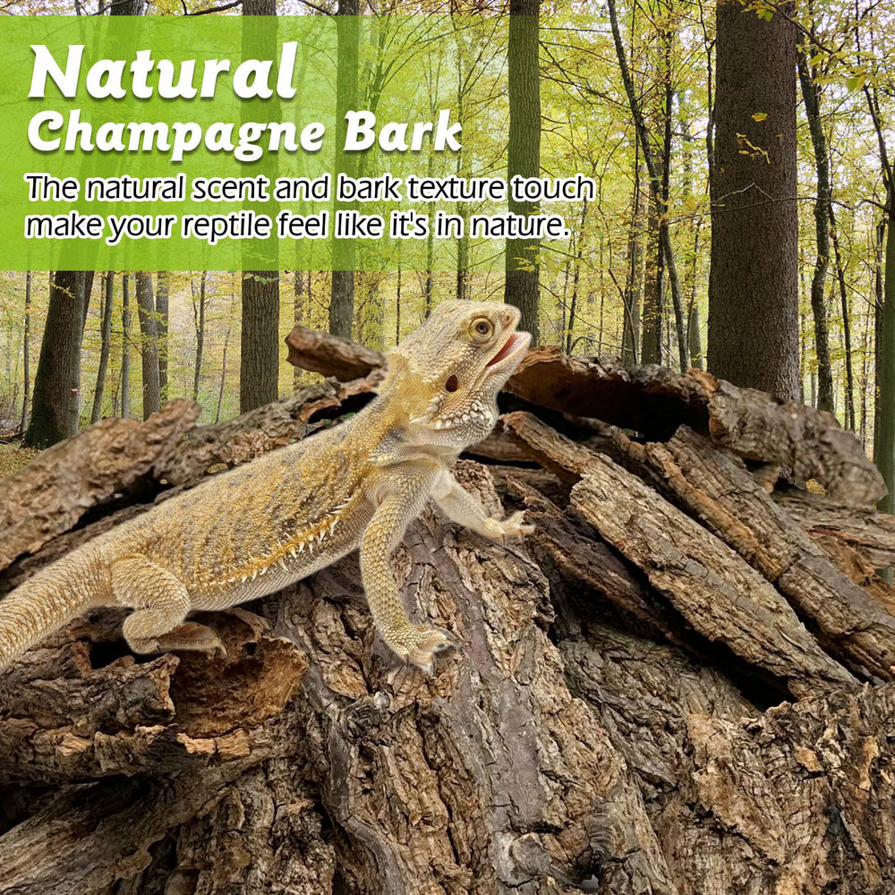 Apatal cork bark forest-scent visual emphasizes natural aroma for realistic terrarium