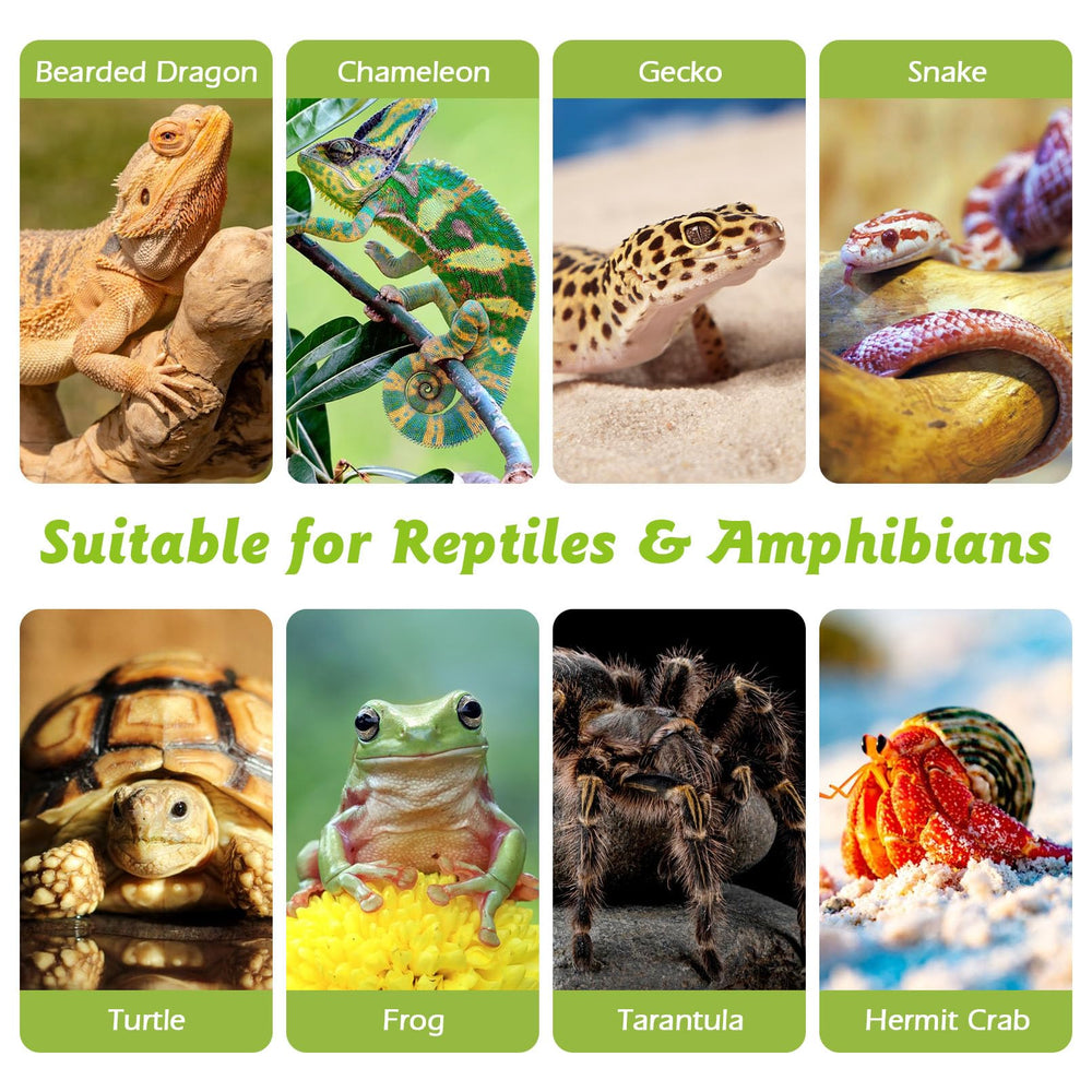 Apatal gecko-tortoise-habitat-setup shows natural bedding that's easy to maintain