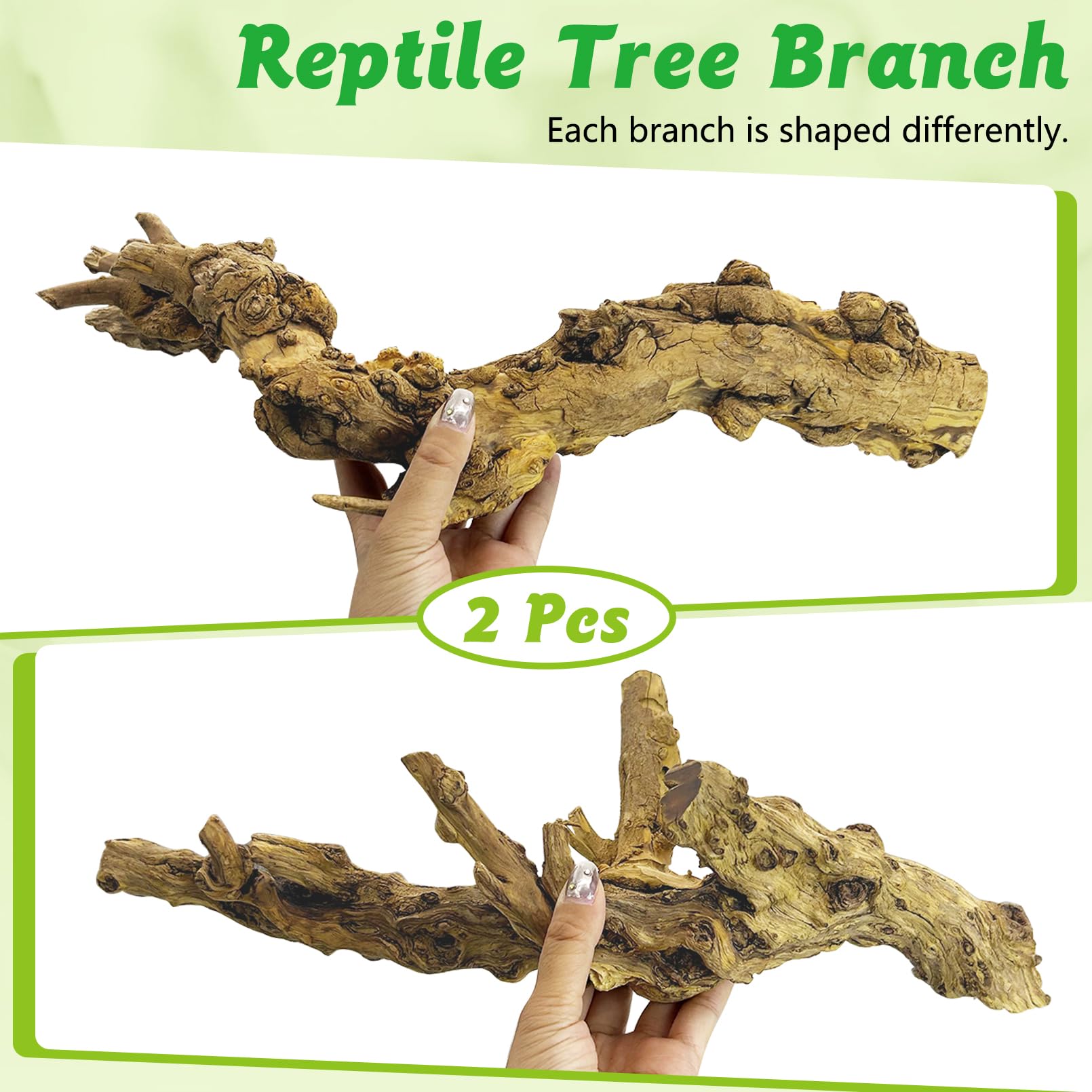 Apatal reptile branch decor: bearded dragon habitat enhancement with secure climbing structure.