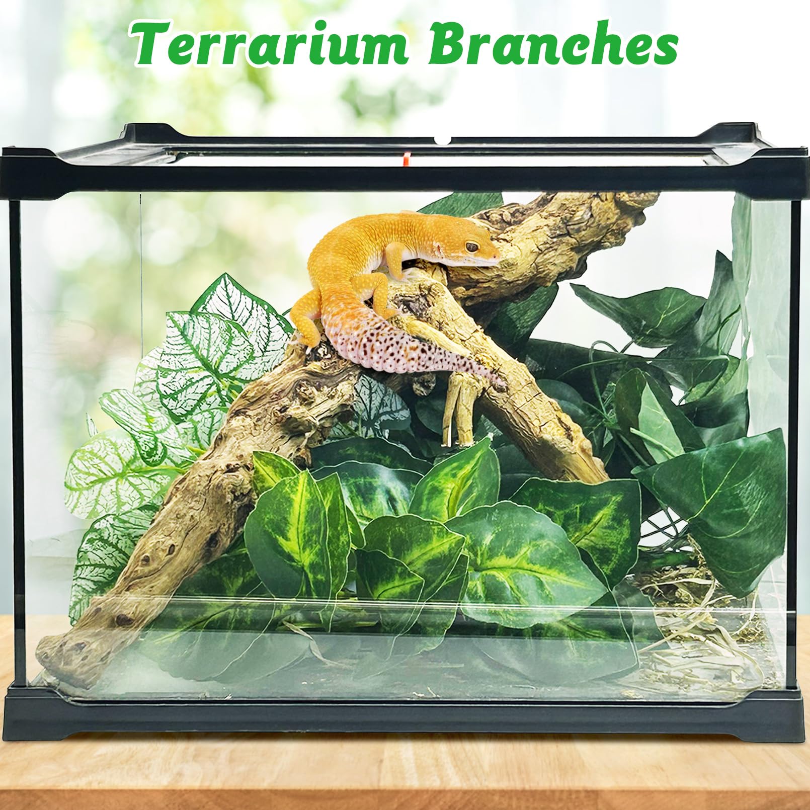 Apatal reptile branch decor: chameleon climbing branch promotes vertical travel.