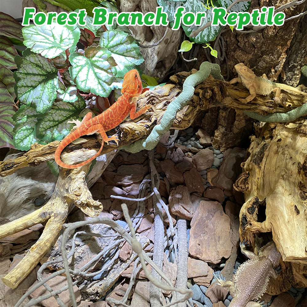 Apatal reptile branch decor: natural forest branch perfect for climbing and shade in enclosures.