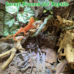 Apatal reptile branch decor: natural forest branch perfect for climbing and shade in enclosures.