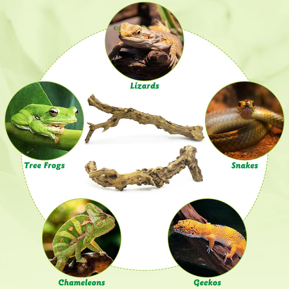 Apatal reptile branch decor: reptile plants setup for hiding spots and enrichment.