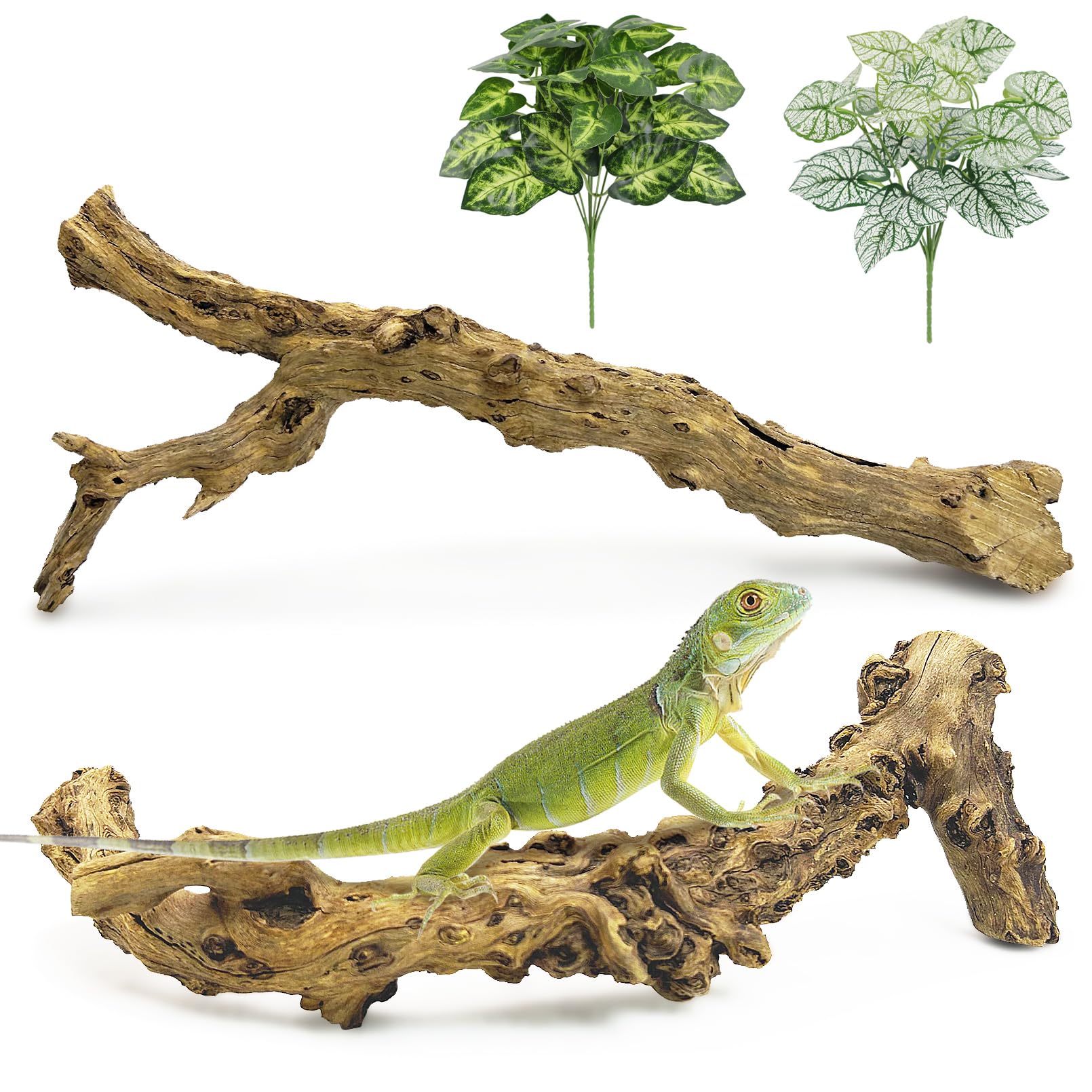 Apatal reptile branch decor: snake climbing branch for enriching terrarium exploration.