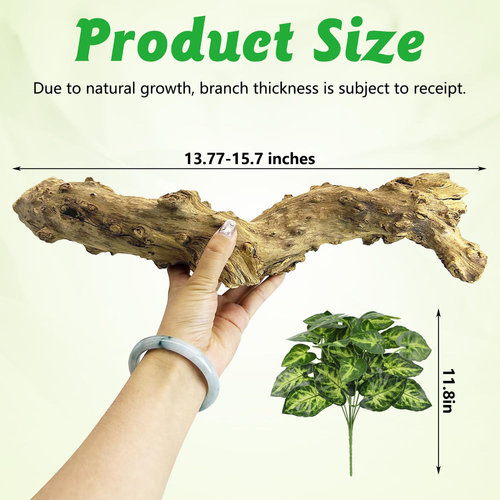 Apatal reptile branch decor: wooden terrarium branch adds natural texture and perching space.