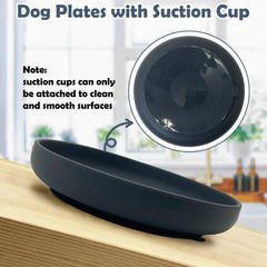 Apatal spill-proof dish with suction keeps feeding area tidy