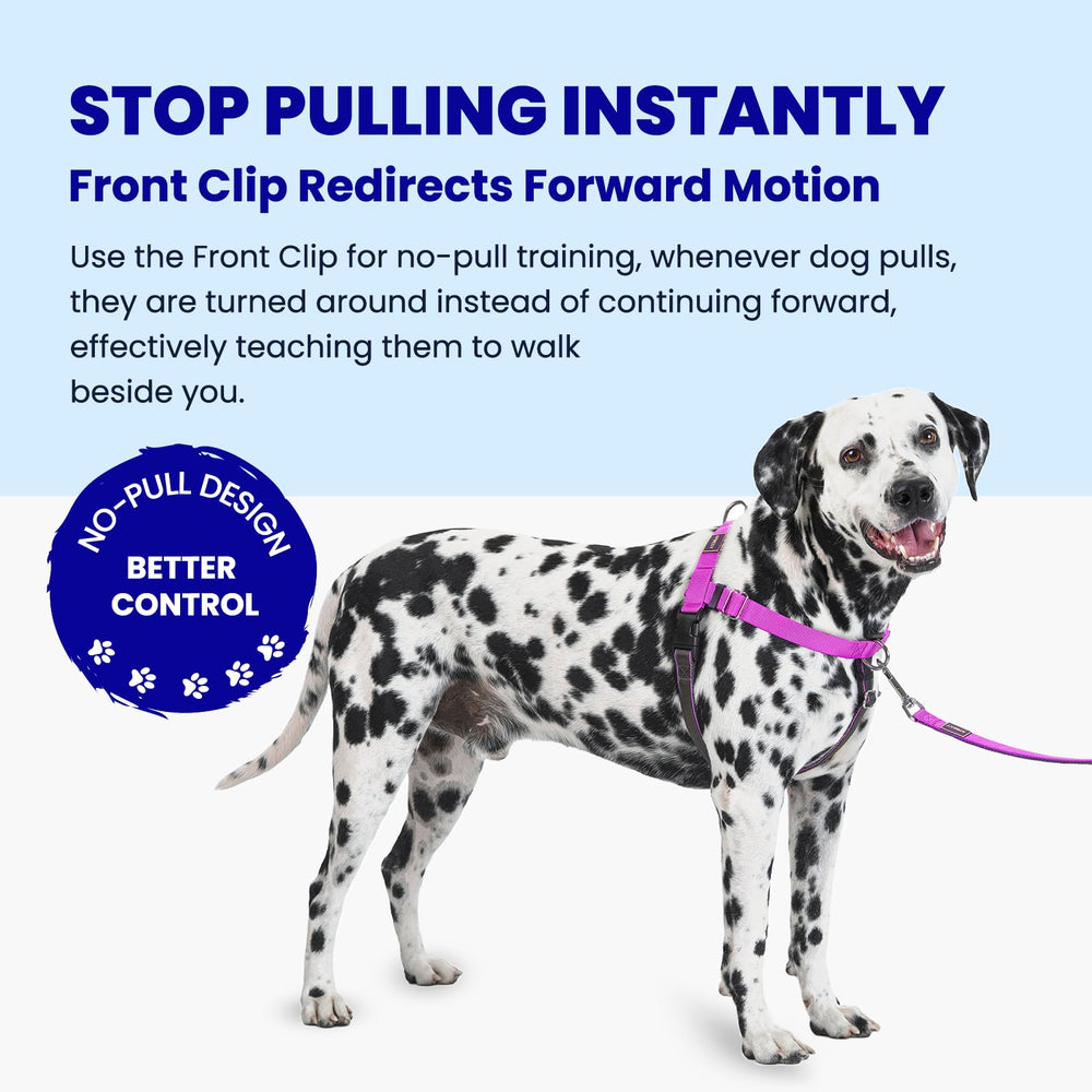 APDEXY Freedom back clip ideal for casual strolls and runs