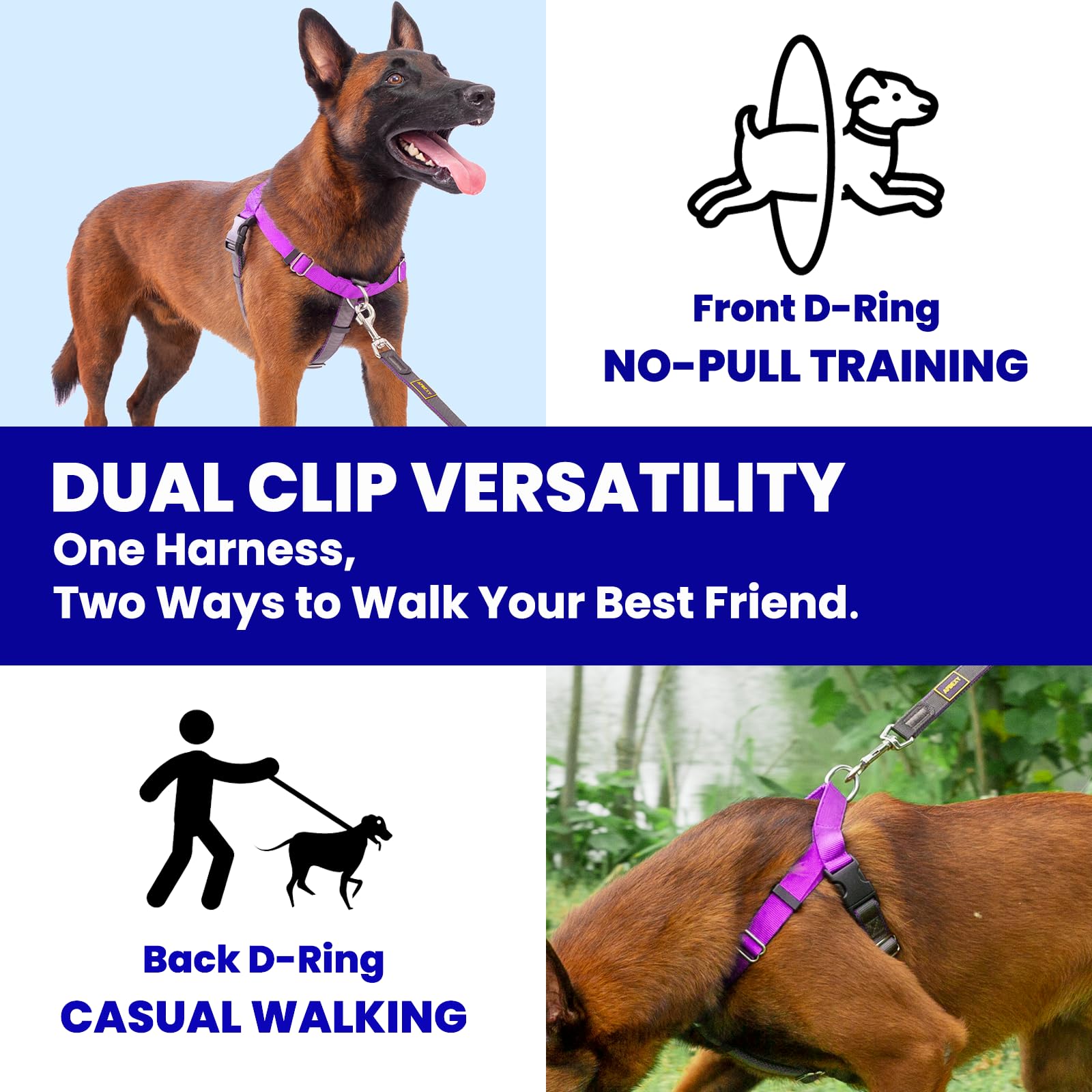 APDEXY Freedom breathable mesh padding keeps dogs cool on adventures