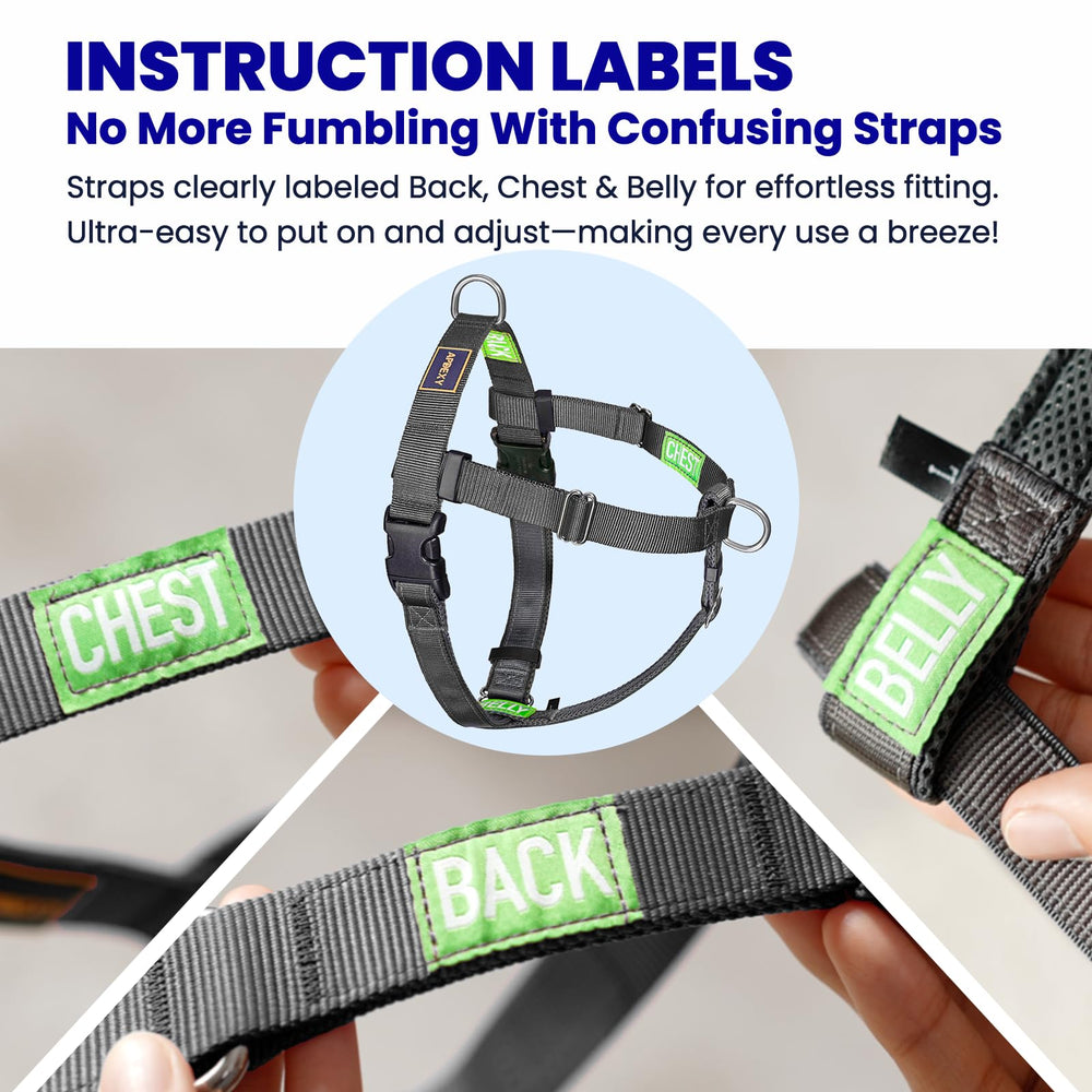 APDEXY Freedom breathable mesh padding keeps dogs cool during activity
