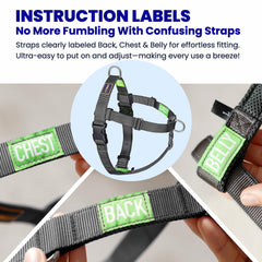APDEXY Freedom breathable mesh padding keeps dogs cool during activity