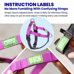 APDEXY Freedom fully adjustable straps create a secure fit as dogs grow
