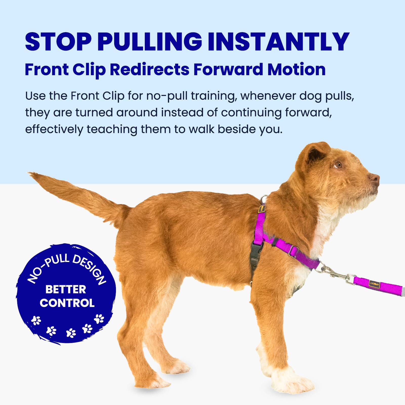 APDEXY Freedom No-Pull harness back clip enables relaxed casual walks for small dogs.