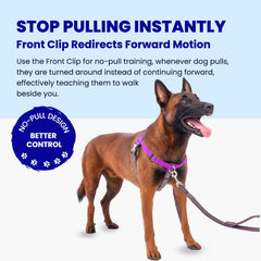 APDEXY Freedom No-Pull Harness back clip supports casual walks and comfortable jogs.