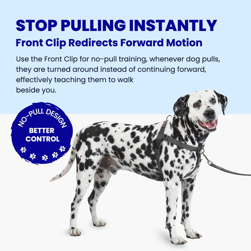 APDEXY No Pull Back Clip Harness for casual strolls, runs, and hikes.