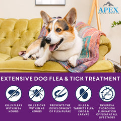 APEX Plus application scene demonstrates simple topical application on the dog.