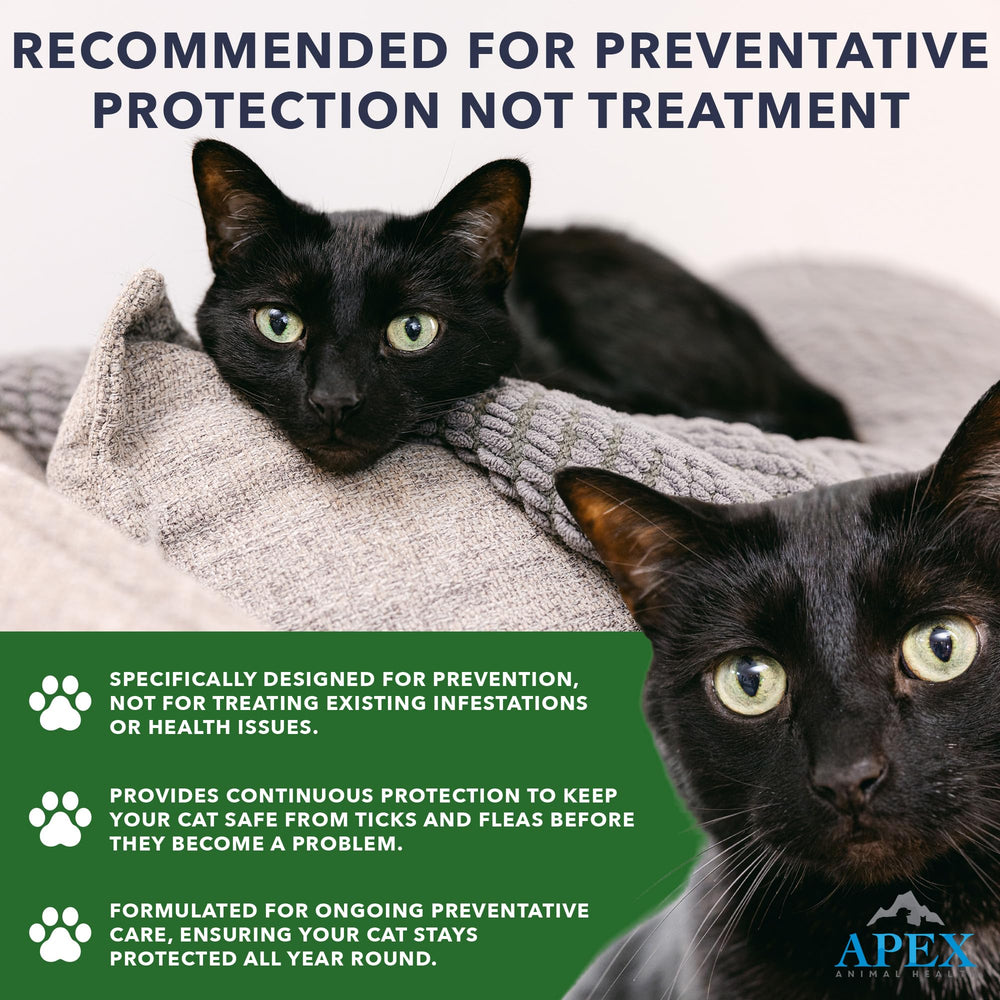 Kittens over 8 weeks receive Apex Plus drops for safe flea and tick protection.