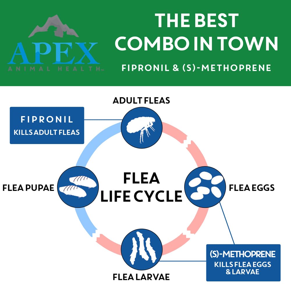 Apex Plus waterproof defense remains effective after 24 hours of application.
