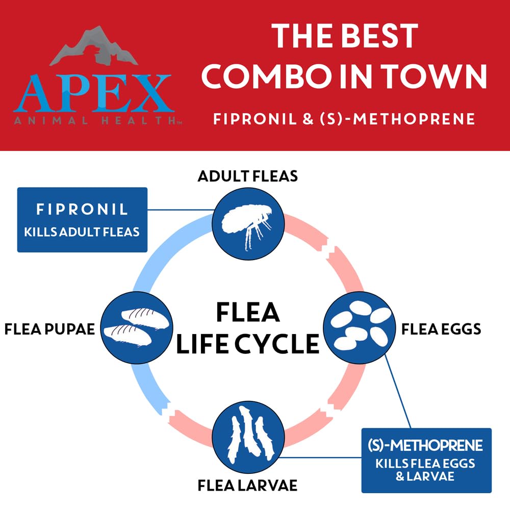 Apex Plus 30-day protection visual for XL dogs against fleas and ticks