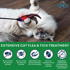 APEX PLUS six-dose packaging for cat flea and tick treatment.