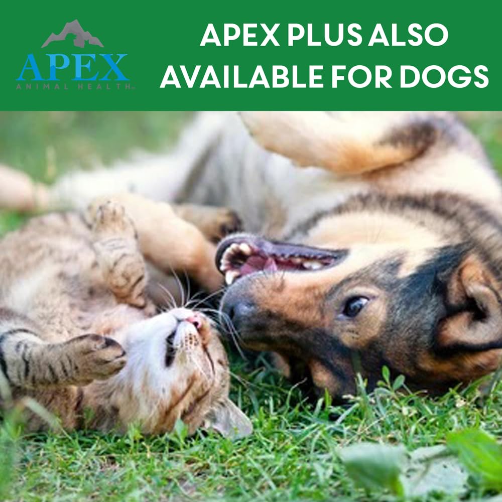 APEX PLUS year-round protection for cats against fleas and ticks.