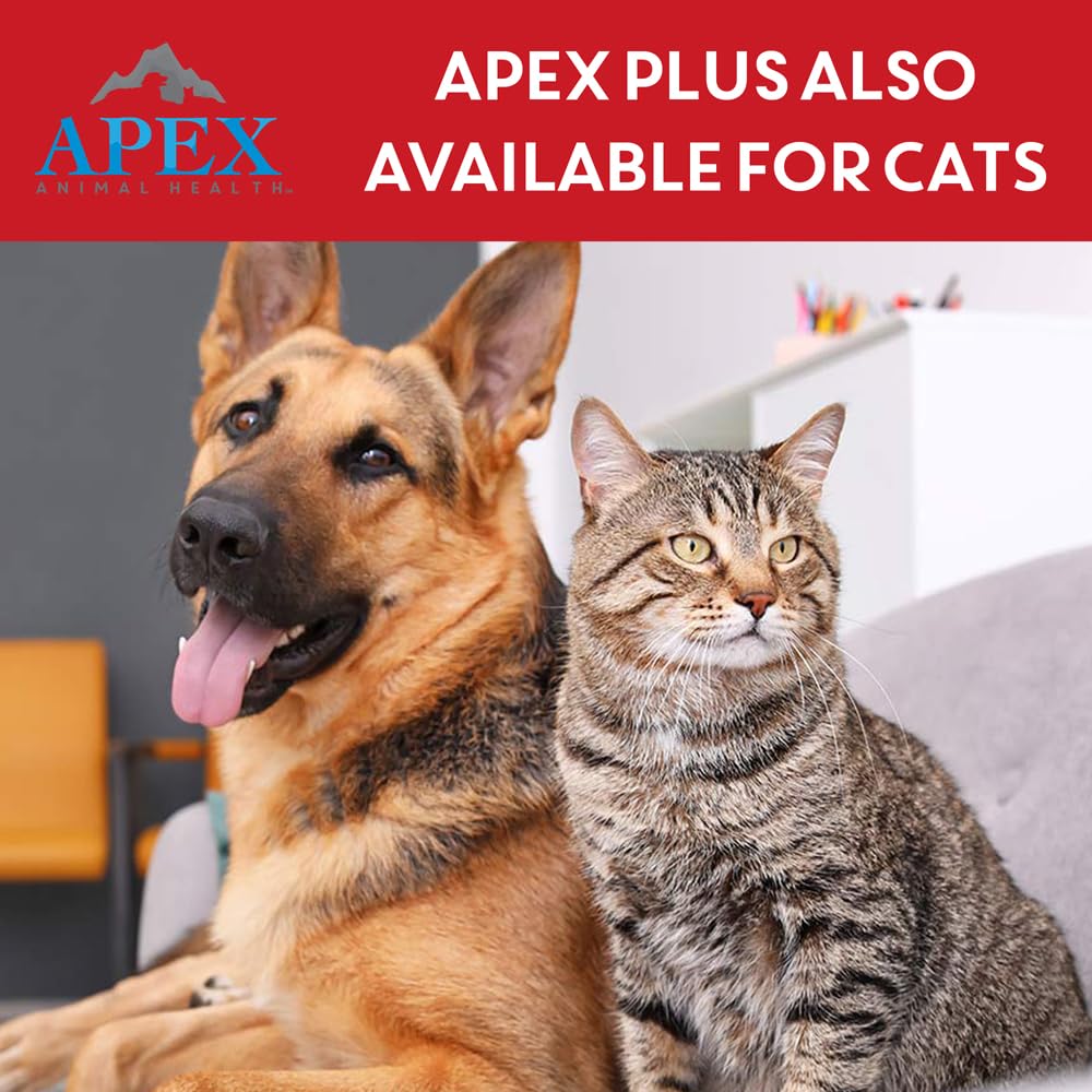 Apex Plus daily-life prevention in action for active dogs