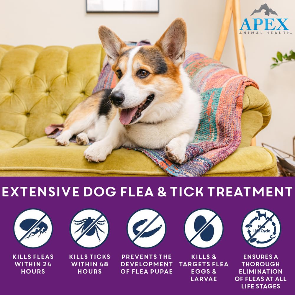 APEX PLUS application-area demonstrates precise application on the dog's back for even coverage.