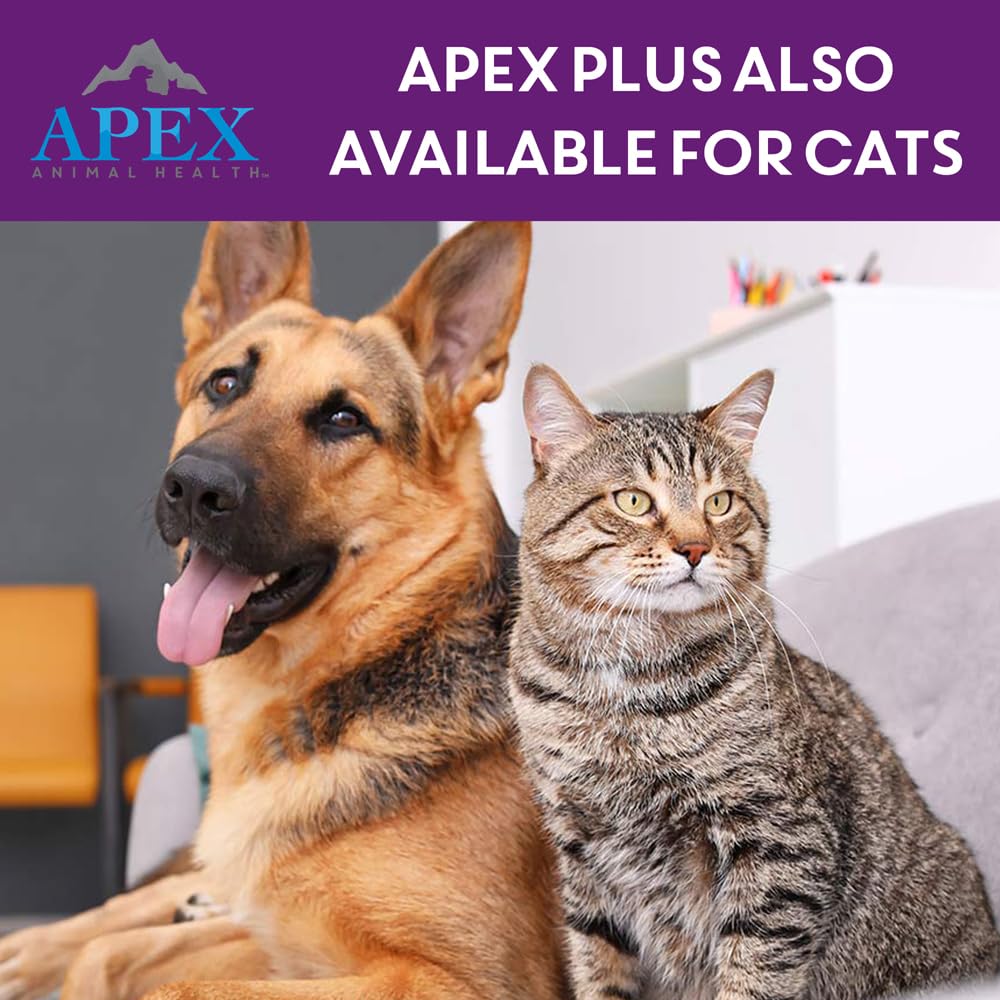 APEX PLUS dog-paw-closeup focuses on topical application at the skin surface.