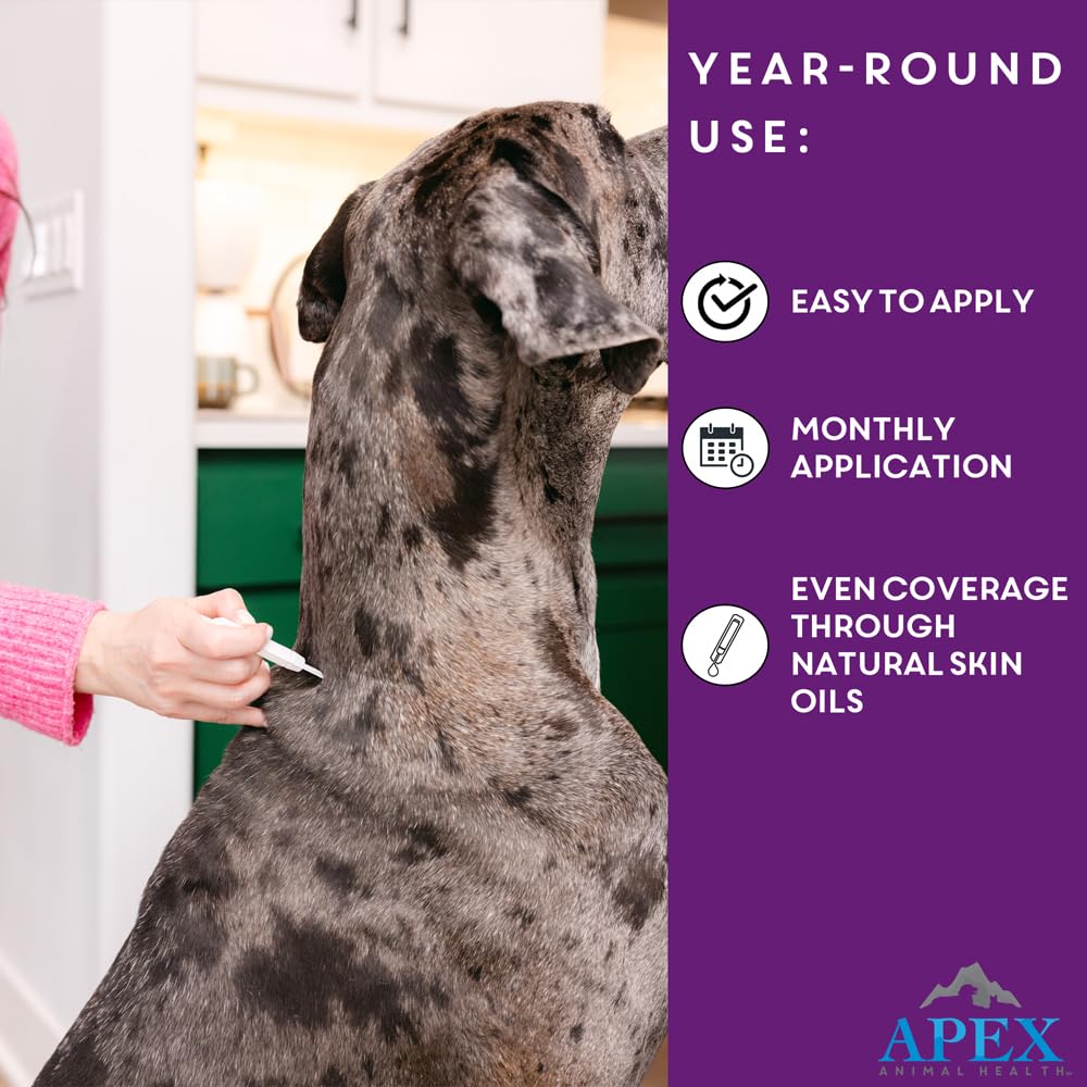APEX PLUS packaging-box displays contents and 6-month supply details for planning.