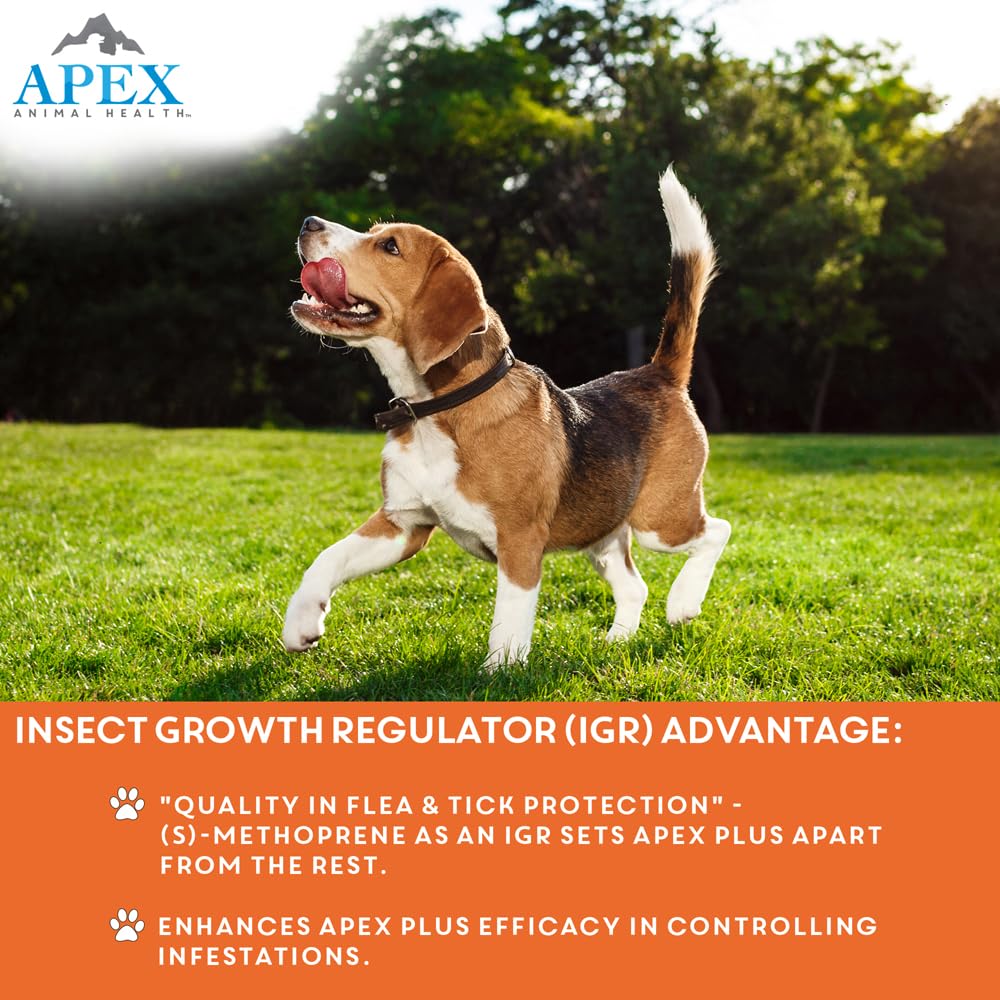 APEX PLUS IGR emphasis shows eggs and larvae hatch prevention