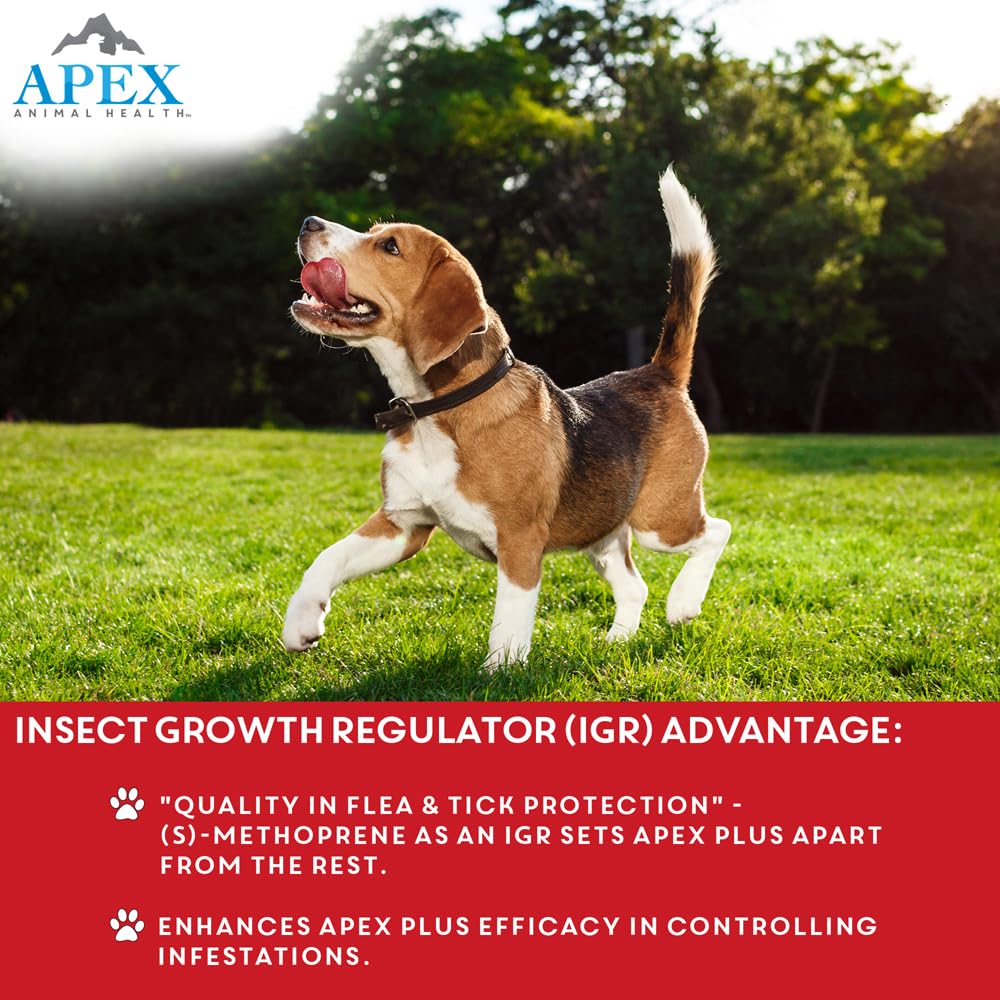 Apex Plus IGR action highlighting interruption of flea eggs and life cycle