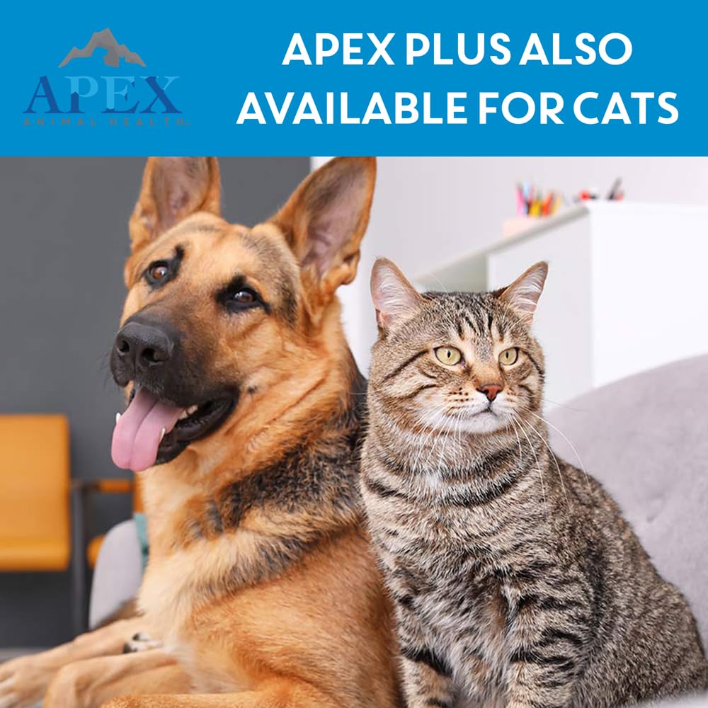 APEX Plus six-month supply box highlighted for long-term protection