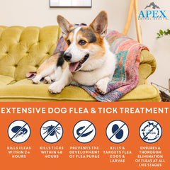 APEX PLUS small dog coat application demonstrates simple monthly protection on fur